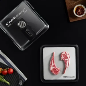 USB Electric Food Defroster Box | Quick Defrost with UVC Antibacterial & Energy Saving Design