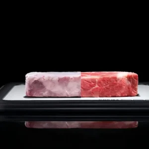 USB Electric Food Defroster Box | Quick Defrost with UVC Antibacterial & Energy Saving Design